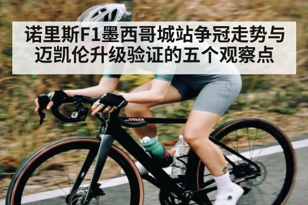 诺里斯F1墨西哥城站争冠走势与迈凯伦升级验证的五个观察点